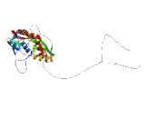 Glutamate Receptor, Ionotropic, Kainate 4 (GRIK4)