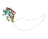 Glutamate Receptor, Ionotropic, Kainate 5 (GRIK5)