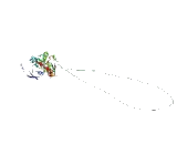 Glutamate Receptor, Ionotropic, N-Methyl-D-Aspartate 2B (GRIN2B)