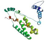 Glutamate Receptor, Ionotropic, N-Methyl-D-Aspartate Associated Protein 1 (GRINA)