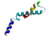 Glutamate Receptor, Ionotropic, N-Methyl-D-Aspartate Like Protein 1A (GRINL1A)