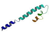 Glutamate Receptor, Ionotropic, N-Methyl-D-Aspartate Like Protein 1B (GRINL1B)