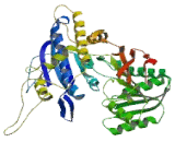 Glutamate Receptor, Metabotropic 4 (GRM4)