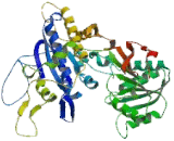 Glutamate Receptor, Metabotropic 6 (GRM6)