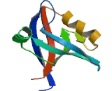 Glutamate Receptor Interacting Protein 1 (GRIP1)