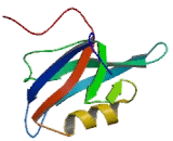 Glutamate Receptor Interacting Protein 2 (GRIP2)