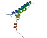 Glutamate Rich Protein 1 (ERICH1)