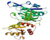 Glutamyl tRNA Amidotransferase Subunit D (GATD)