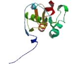 Glutamyl tRNA Amidotransferase Subunit F (GATF)