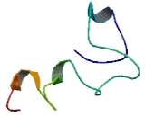 Glutaredoxin, Cysteine Rich 1 (GRXCR1)