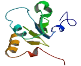 Glutaredoxin 5 (GLRX5)