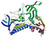 Glutathione Reductase (GR)