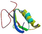 Glutathione S Transferase, C-Terminal Domain Containing Protein (GSTCD)