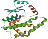 Glutathione S Transferase Alpha 3 (GSTa3)