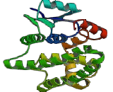 Glutathione S Transferase Alpha 5 (GSTa5)