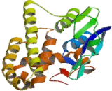 Glutathione S Transferase Mu 2 (GSTM2)