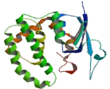 Glutathione S Transferase Mu 3, Brain (GSTm3)