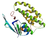 Glutathione S Transferase Mu 5 (GSTm5)