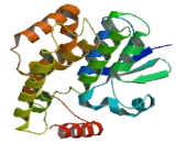 Glutathione S Transferase Theta 2B (GSTt2B)