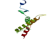 Glutathione S Transferase Zeta 1 (GSTz1)