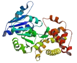 Glycerol-3-Phosphate Dehydrogenase-1-Like Protein (GPD1L)