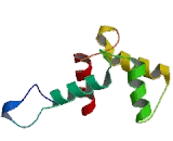 Glycerol-3-Phosphate Dehydrogenase 2 (GPD2)