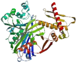 Glycerol Kinase (GK)