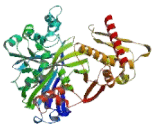 Glycerol Kinase 2 (GK2)