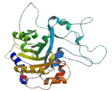 Glycerophosphocholine Phosphodiesterase (GPCPD1)