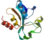 Glycerophosphodiester Phosphodiesterase 1 (GDE1)