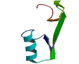 Glycerophosphodiester Phosphodiesterase Domain Containing Protein 4 (GDPD4)