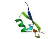 Glycerophosphodiester Phosphodiesterase Domain Containing Protein 5 (GDPD5)