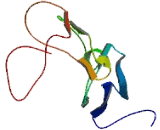 Glycine, Glutamate, Thienylcyclohexylpiperidine Binding Protein (GlyBP)