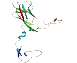 Glycine/Arginine Rich Protein 1 (GRRP1)