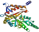 Glycine C Acetyltransferase (GCAT)