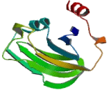 Glycine Cleavage System Protein H (GCSH)