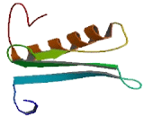 Glycine-N-Acyltransferase Like Protein 2 (GLYATL2)