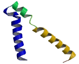 Glycine Receptor Alpha 1 (GLRa1)