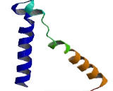 Glycine Receptor Alpha 2 (GLRa2)