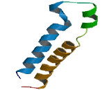 Glycine Receptor Alpha 4 (GLRa4)