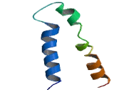 Glycine Receptor Beta (GLRb)