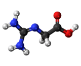 Glycocyamine (GCC)