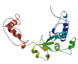 Glycogen Synthase 1, Muscle (GYS1)