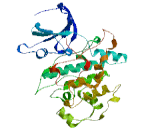 Glycogen Synthase Kinase 1 (GSK1)