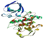 Glycogen Synthase Kinase 3 Alpha (GSK3a)