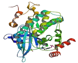 Glycogen Synthase Kinase 3 Beta (GSK3b)