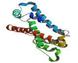 Glycolipid Transfer Protein (GLTP)