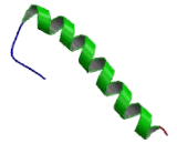 Glycophorin E (GYPE)