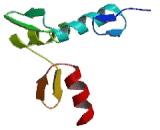 Glycoprotein 2, Zymogen Granule Membrane (GP2)