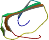 Platelet Glycoprotein Ib Beta Chain (GP1BB)